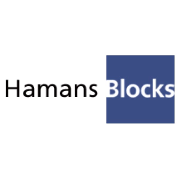 HamansBlocks Logo